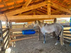 Fazenda / Sítio / Chácara com 8 Quartos à venda, 500000m² no Zona Rural, Luziânia - Foto 30