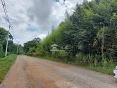 Terreno / Lote / Condomínio à venda, 37609m² no Alto da Serra - Mailasqui, São Roque - Foto 8