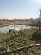 Fazenda / Sítio / Chácara com 4 Quartos à venda, 10m² no Zona Rural, Anicuns - Foto 8