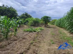 Fazenda / Sítio / Chácara com 2 Quartos à venda, 22000m² no Centro, Indaiatuba - Foto 21