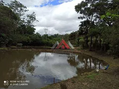 Terreno / Lote Comercial à venda, 503000m² no Chacara Sao Lucido, Mauá - Foto 10