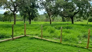 Fazenda / Sítio / Chácara com 3 Quartos à venda, 1984000m² no Nossa Senhora Aparecida, Uberlândia - Foto 5