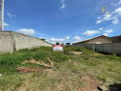 Terreno / Lote / Condomínio à venda, 654m² no Borda do Campo, São José dos Pinhais - Foto 11