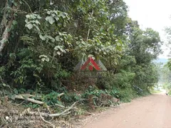 Terreno / Lote Comercial à venda, 503000m² no Chacara Sao Lucido, Mauá - Foto 61