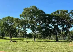 Fazenda / Sítio / Chácara com 4 Quartos à venda, 600m² no Sobradinho, Brasília - Foto 3