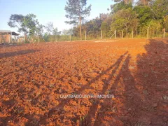 Terreno / Lote / Condomínio à venda, 1000m² no Guaíba Country Club, Eldorado do Sul - Foto 6