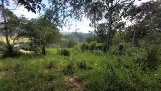 Fazenda / Sítio / Chácara à venda, 5000m² no Pagara, Santo Amaro da Imperatriz - Foto 3