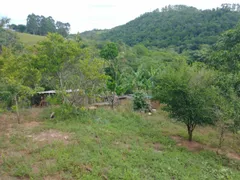 Fazenda / Sítio / Chácara com 3 Quartos à venda, 6000m² no Jardim Colonia, Jacareí - Foto 17