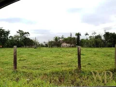 Terreno / Lote / Condomínio à venda, 111281m² no Pirabeiraba, Joinville - Foto 3