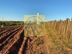 Fazenda / Sítio / Chácara com 3 Quartos à venda, 26455m² no Reforma Agraria, Valinhos - Foto 7