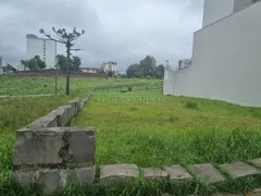 Terreno / Lote / Condomínio à venda no Charqueadas, Caxias do Sul - Foto 3