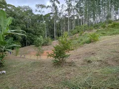 Fazenda / Sítio / Chácara à venda, 6560m² no Timbe, Tijucas - Foto 6