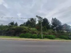 Terreno / Lote / Condomínio à venda, 9900m² no Avenida Central, Gramado - Foto 3