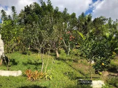 Fazenda / Sítio / Chácara com 3 Quartos à venda, 18000m² no Jardim Tropical, Nova Iguaçu - Foto 7