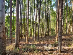 Fazenda / Sítio / Chácara com 6 Quartos à venda, 400m² no Condominio Jardim das Palmeiras, Bragança Paulista - Foto 13