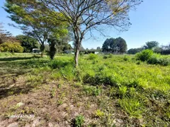 Terreno / Lote Comercial para alugar, 48000m² no Jardim Santa Maria, Jacareí - Foto 5