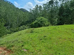 Terreno / Lote Comercial à venda, 20000m² no São Francisco Xavier, São José dos Campos - Foto 1