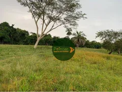 Fazenda / Sítio / Chácara à venda, 1064800m² no Zona Rural, Itapirapuã - Foto 5