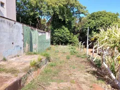 Terreno / Lote Comercial à venda, 4495m² no Jardim Palma Travassos, Ribeirão Preto - Foto 3
