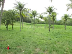 Fazenda / Sítio / Chácara com 4 Quartos à venda, 183000m² no Zona Rural, Rio Bonito - Foto 42