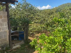 Fazenda / Sítio / Chácara com 4 Quartos à venda, 230m² no MOMBUCA, Itatiba - Foto 37