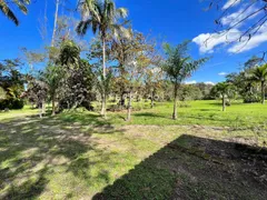 Fazenda / Sítio / Chácara com 4 Quartos à venda, 21000m² no Citrolândia, Guapimirim - Foto 26