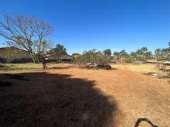 Fazenda / Sítio / Chácara com 2 Quartos à venda, 11600m² no Parque Cristo Redentor, Trindade - Foto 6