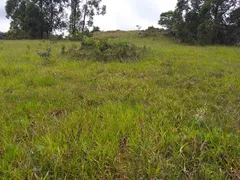 Terreno / Lote / Condomínio à venda, 300000m² no Zona Rural, Oliveira - Foto 3