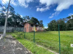 Terreno / Lote / Condomínio à venda, 13000m² no Jardim Amélia, Pinhais - Foto 4