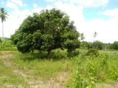 Fazenda / Sítio / Chácara com 3 Quartos à venda, 30000m² no Zona Rural, Glória do Goitá - Foto 11