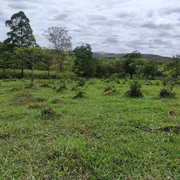 Terreno / Lote / Condomínio à venda, 20000m² no Centro, Cachoeira da Prata - Foto 8