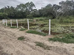 Terreno / Lote / Condomínio à venda, 20000m² no Zona Rural, Fortuna de Minas - Foto 15