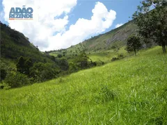 Fazenda / Sítio / Chácara com 4 Quartos à venda, 1150000m² no Corrego Sujo, Teresópolis - Foto 24
