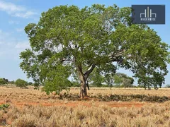 Fazenda / Sítio / Chácara à venda, 21000000m² no Zona Rural, Nossa Senhora do Livramento - Foto 6