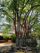 Loja / Salão / Ponto Comercial para alugar, 1000m² no Jardim Atlântico, Belo Horizonte - Foto 26