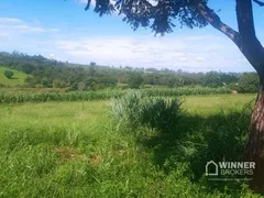 Fazenda / Sítio / Chácara à venda, 16000m² no , Alto Paraná - Foto 7