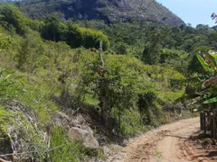 Fazenda / Sítio / Chácara com 4 Quartos à venda, 45000m² no Chacara Paraiso, Nova Friburgo - Foto 35