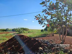 Fazenda / Sítio / Chácara com 1 Quarto à venda, 2500m² no Jardim Ouro Cola, Maringá - Foto 8