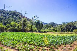 Terreno / Lote / Condomínio à venda, 2335m² no Granja Mafra, Teresópolis - Foto 3