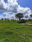 Fazenda / Sítio / Chácara com 3 Quartos à venda, 5000m² no Zona Rural, Monte Alegre - Foto 6