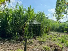 Fazenda / Sítio / Chácara com 3 Quartos à venda, 34656m² no Papucaia, Cachoeiras de Macacu - Foto 31