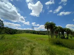 Terreno / Lote / Condomínio à venda, 30000m² no Vargem Bento da Costa, Esmeraldas - Foto 4