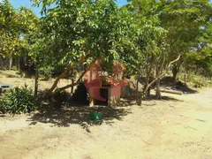 Fazenda / Sítio / Chácara com 4 Quartos à venda, 150m² no Bairro do Cedro, Paraibuna - Foto 3
