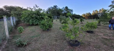 Fazenda / Sítio / Chácara com 1 Quarto à venda, 48m² no Passo da Areia, Viamão - Foto 19