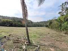 Terreno / Lote / Condomínio à venda, 20395m² no Jardim Martinelli, Campinas - Foto 7