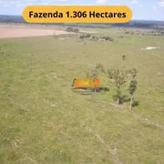 Fazenda / Sítio / Chácara à venda, 13060000m² no , Candeias do Jamari - Foto 1