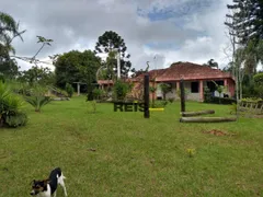 Fazenda / Sítio / Chácara com 4 Quartos à venda, 5316m² no Centro, Piedade - Foto 3