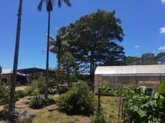 Fazenda / Sítio / Chácara com 4 Quartos à venda, 45000m² no Chacara Paraiso, Nova Friburgo - Foto 2
