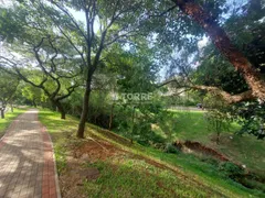 Terreno / Lote / Condomínio à venda, 445m² no Jardim Chapadão, Campinas - Foto 4