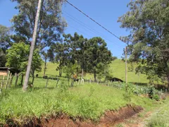 Fazenda / Sítio / Chácara com 1 Quarto à venda, 150000m² no Rural, Extrema - Foto 35